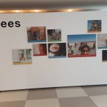 14045786_1194836847234419_1064278135930227902_n